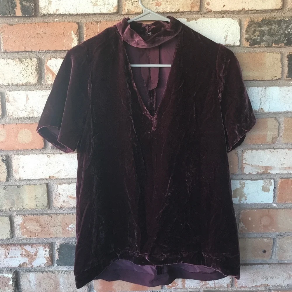Madewell Choker Velvet Short Sleeve Top_4